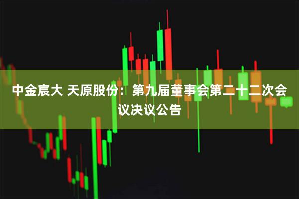 中金宸大 天原股份：第九届董事会第二十二次会议决议公告